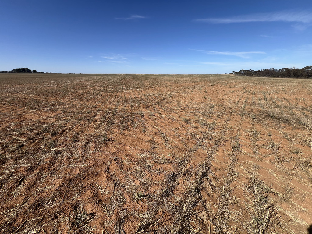 2156 Goongee-Koonda Rd, Murrayville VIC 3512