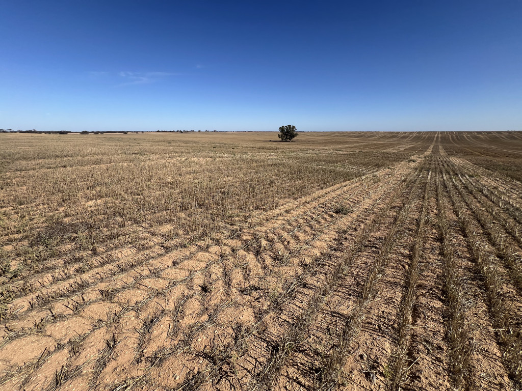 2156 Goongee-Koonda Rd, Murrayville VIC 3512