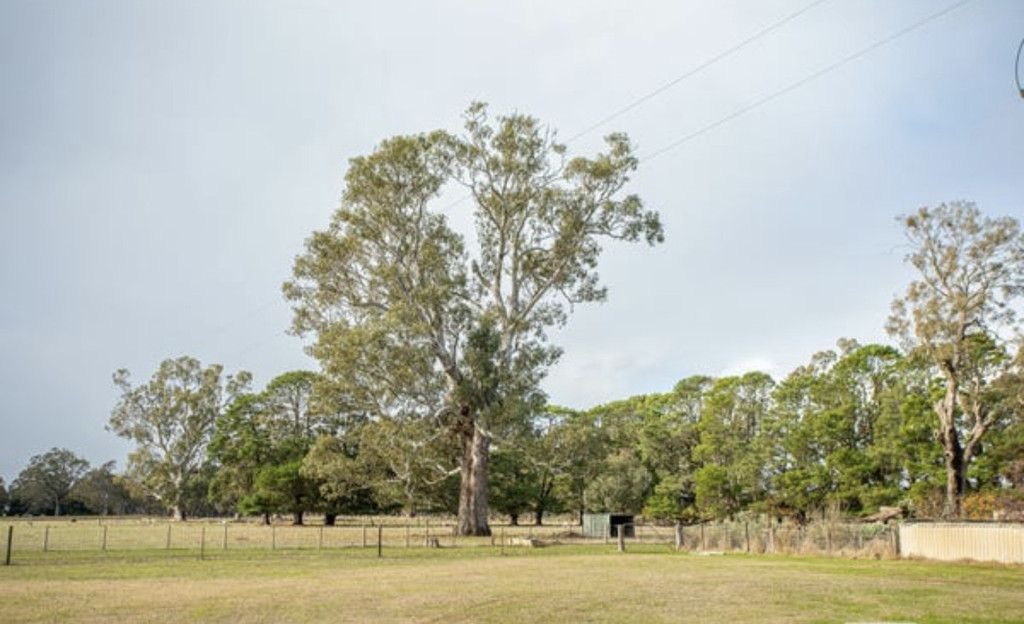 5215 Casterton-Edenhope Road, Kadnook VIC 3318