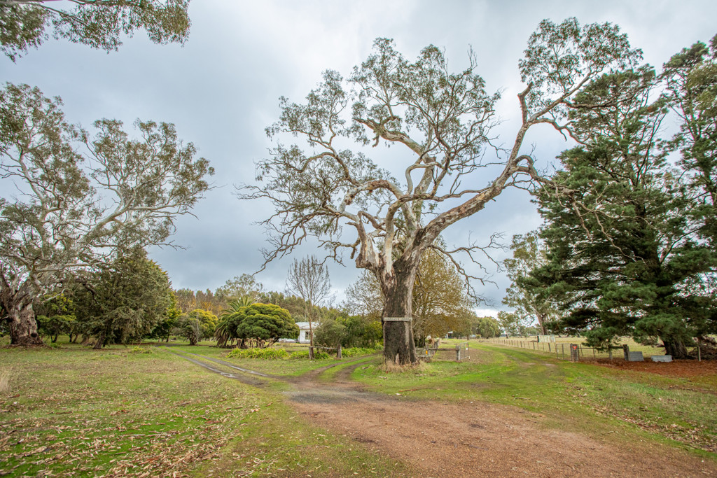 5215 Casterton-Edenhope Road, Kadnook VIC 3318