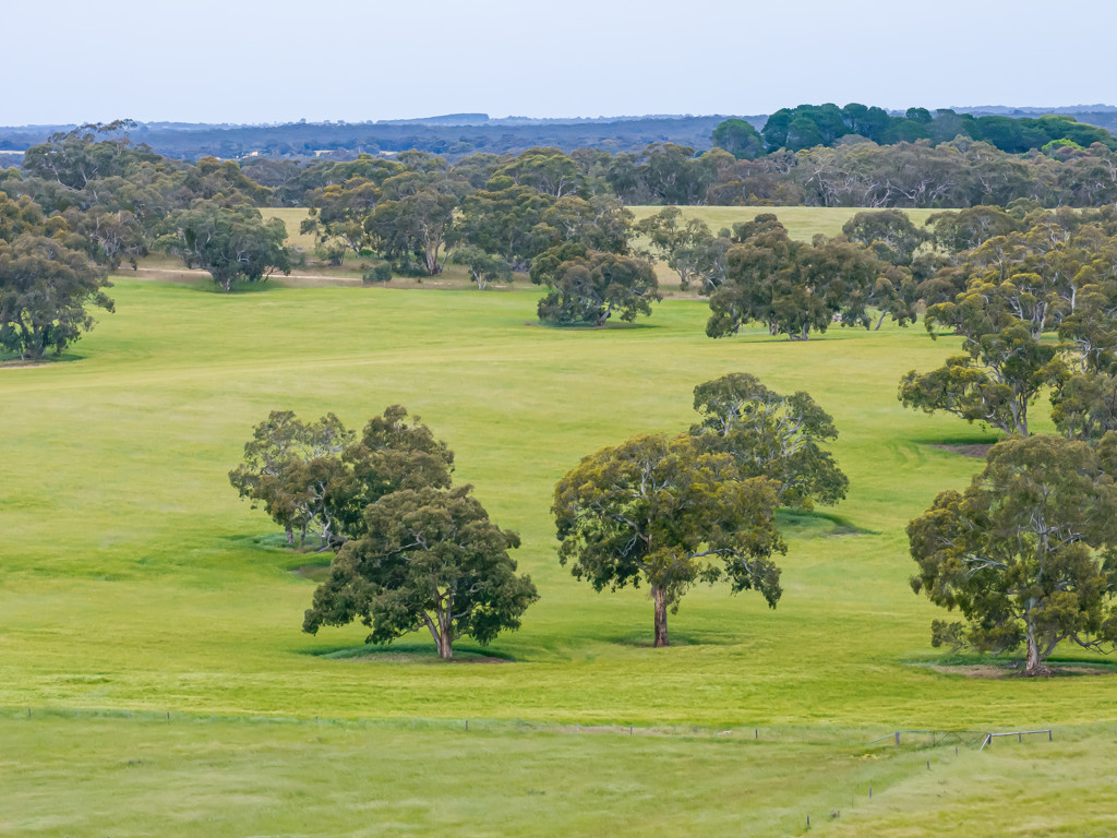 Corner Roy Lawries road and Pedericks Road, Lochaber SA 5271