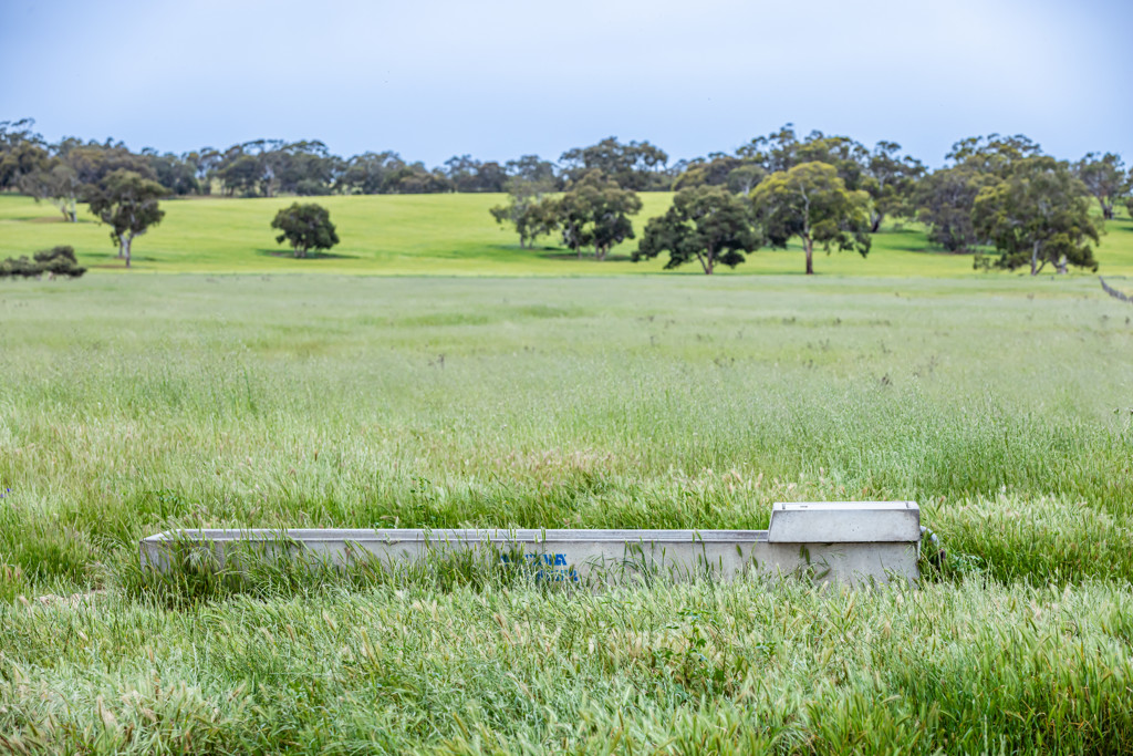 Corner Roy Lawries road and Pedericks Road, Lochaber SA 5271
