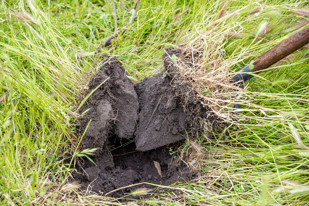 Corner Roy Lawries road and Pedericks Road, Lochaber SA 5271