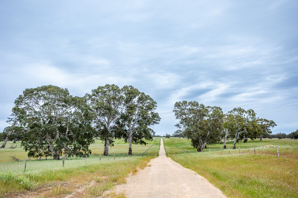 Corner Roy Lawries road and Pedericks Road, Lochaber SA 5271