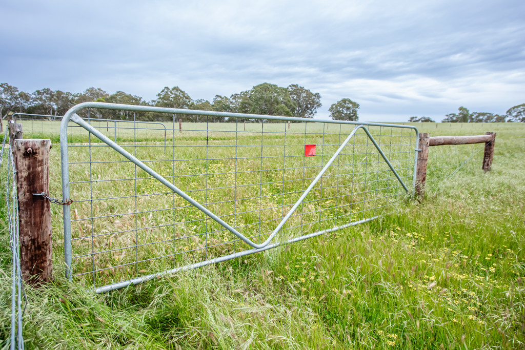 Corner Roy Lawries road and Pedericks Road, Lochaber SA 5271