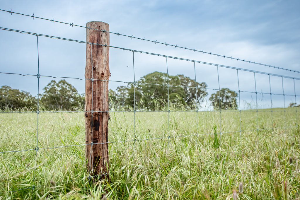 Corner Roy Lawries road and Pedericks Road, Lochaber SA 5271