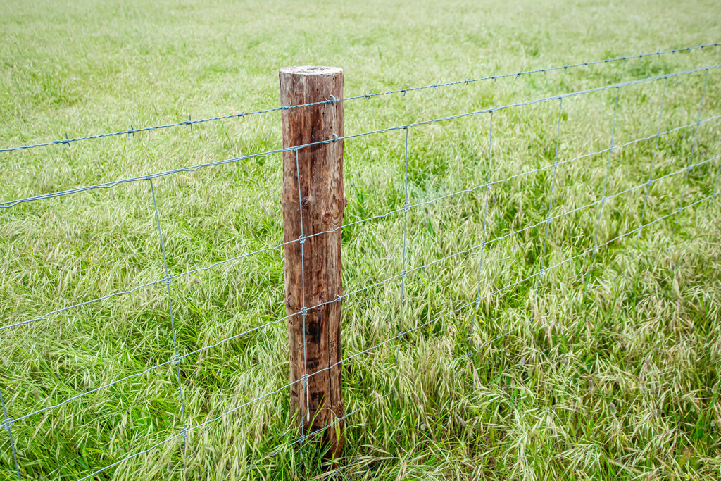 Corner Roy Lawries road and Pedericks Road, Lochaber SA 5271