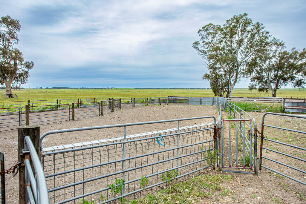 Corner Roy Lawries road and Pedericks Road, Lochaber SA 5271
