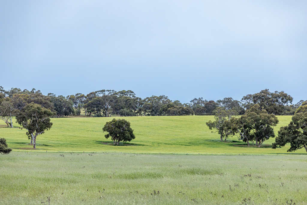 Corner Roy Lawries road and Pedericks Road, Lochaber SA 5271