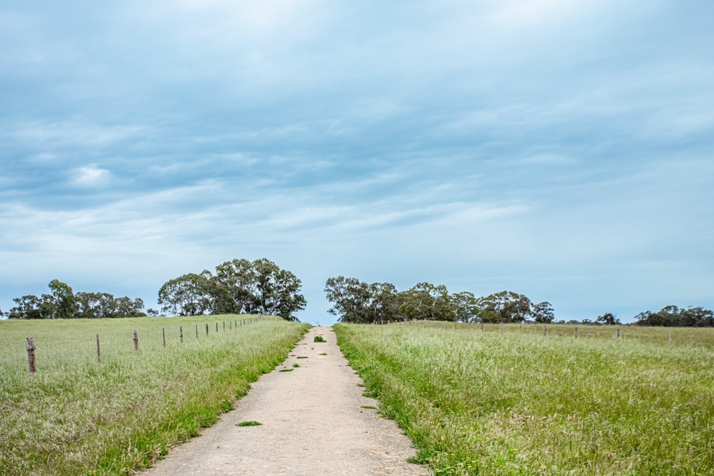 Corner Roy Lawries road and Pedericks Road, Lochaber SA 5271