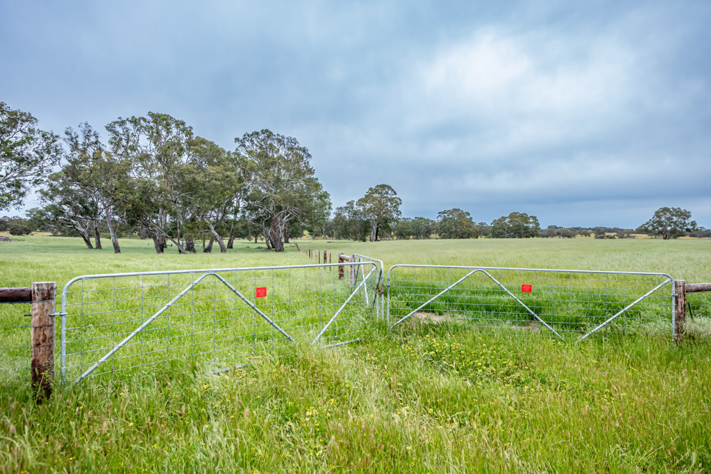 Corner Roy Lawries road and Pedericks Road, Lochaber SA 5271