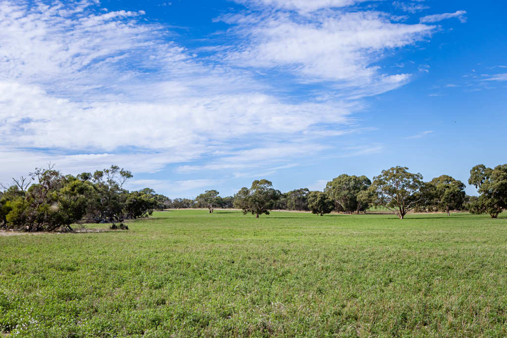 1089 Pedericks Road, Lochaber SA 5271