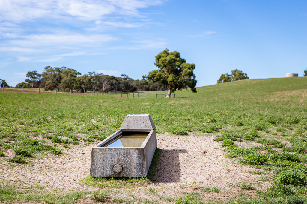 1089 Pedericks Road, Lochaber SA 5271