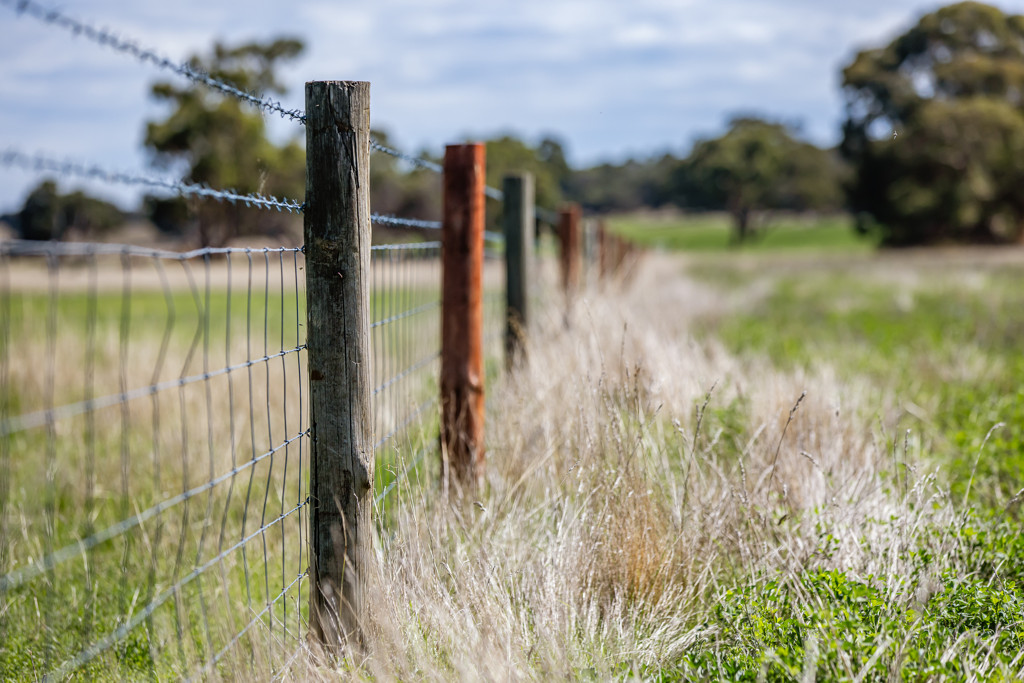 1089 Pedericks Road, Lochaber SA 5271