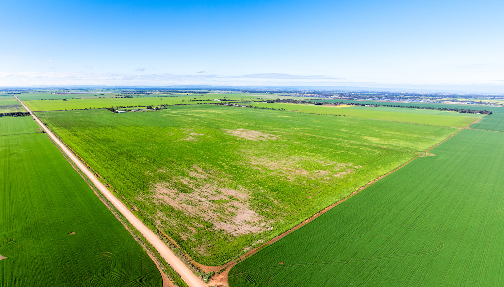 1330 Mallala Road, Korunye SA 5502