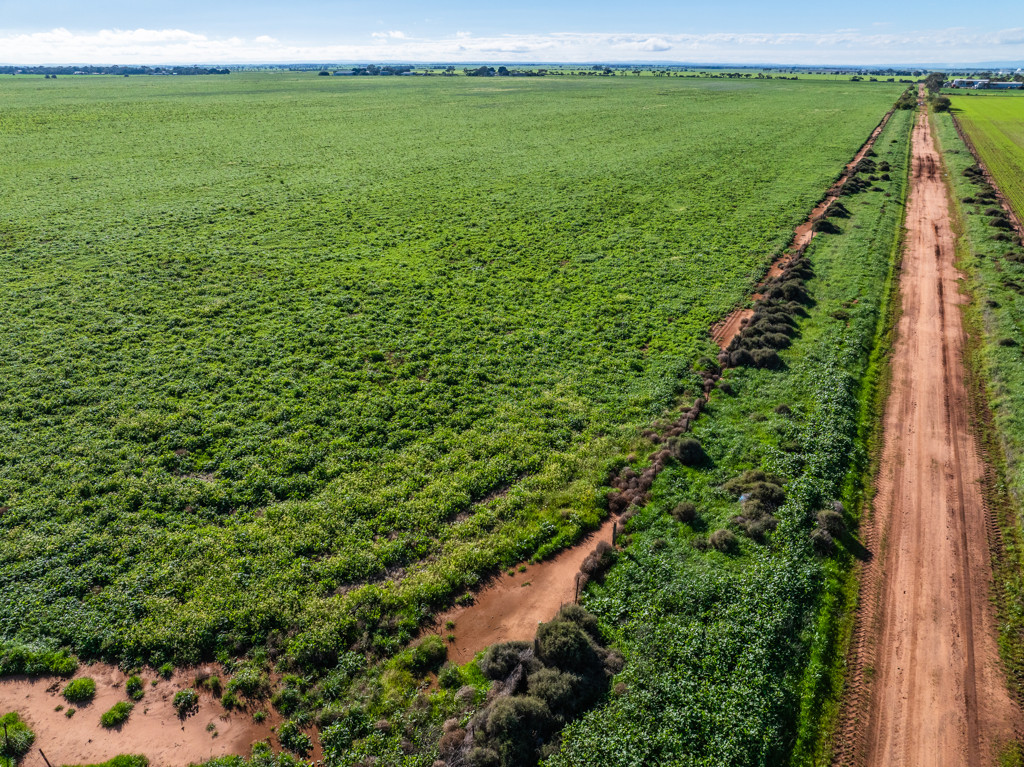 1330 Mallala Road, Korunye SA 5502