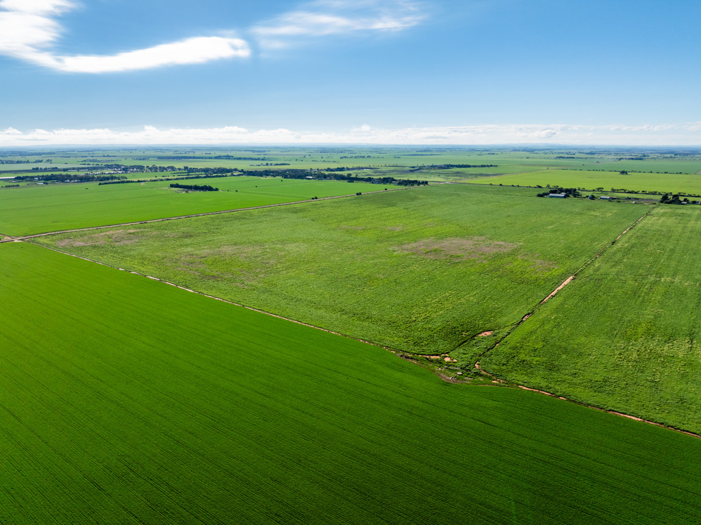 1330 Mallala Road, Korunye SA 5502