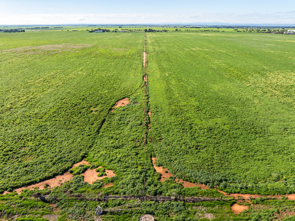 1330 Mallala Road, Korunye SA 5502