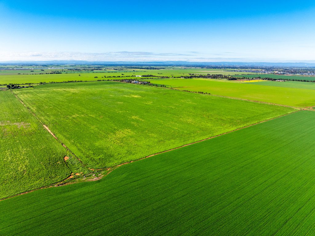 1330 Mallala Road, Korunye SA 5502
