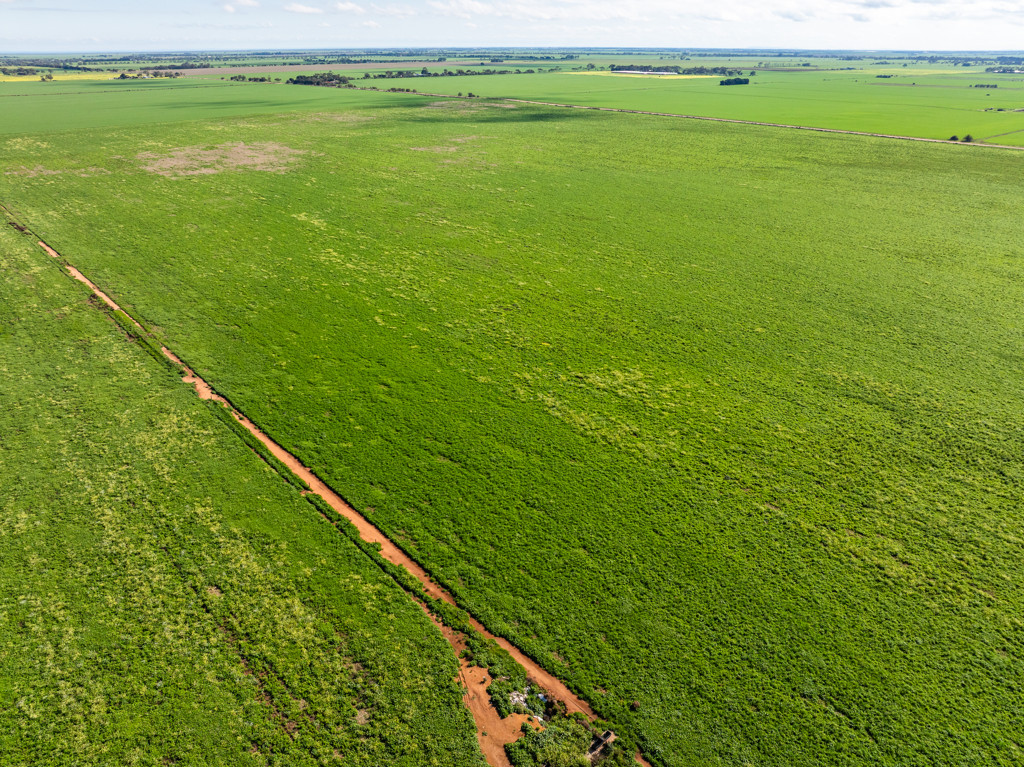 1330 Mallala Road, Korunye SA 5502