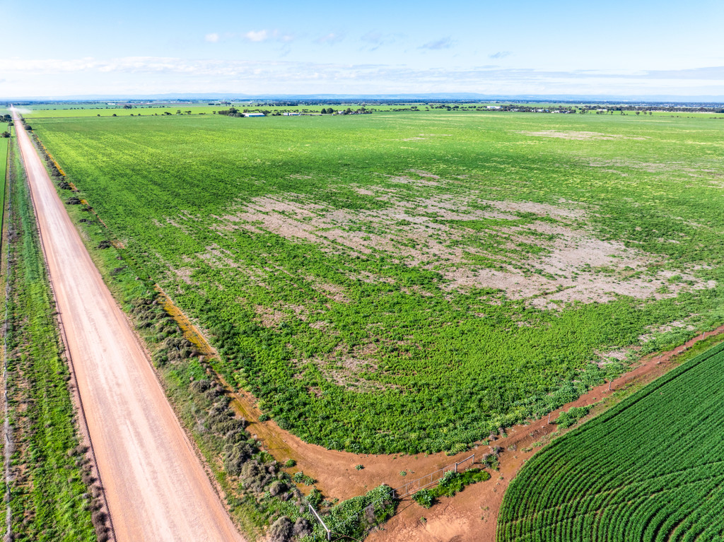 1330 Mallala Road, Korunye SA 5502