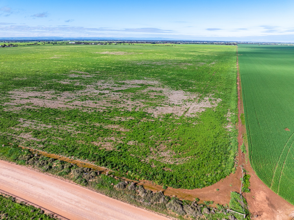 1330 Mallala Road, Korunye SA 5502