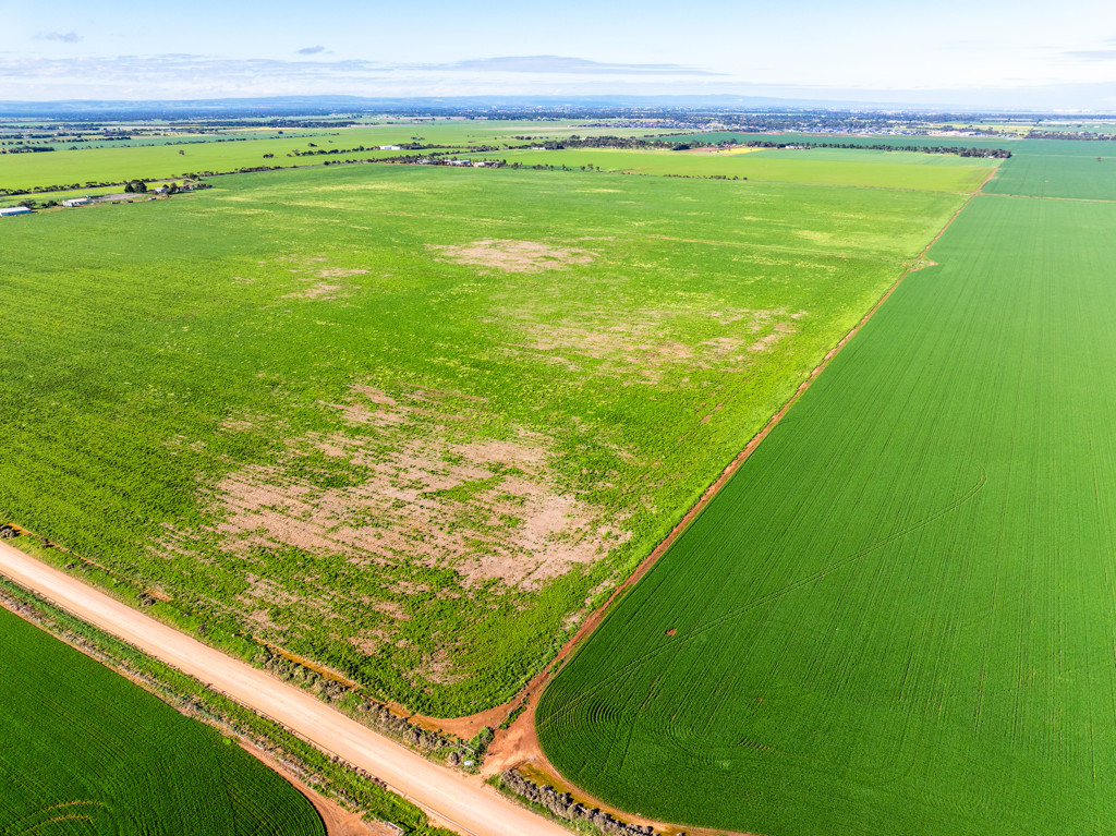 1330 Mallala Road, Korunye SA 5502