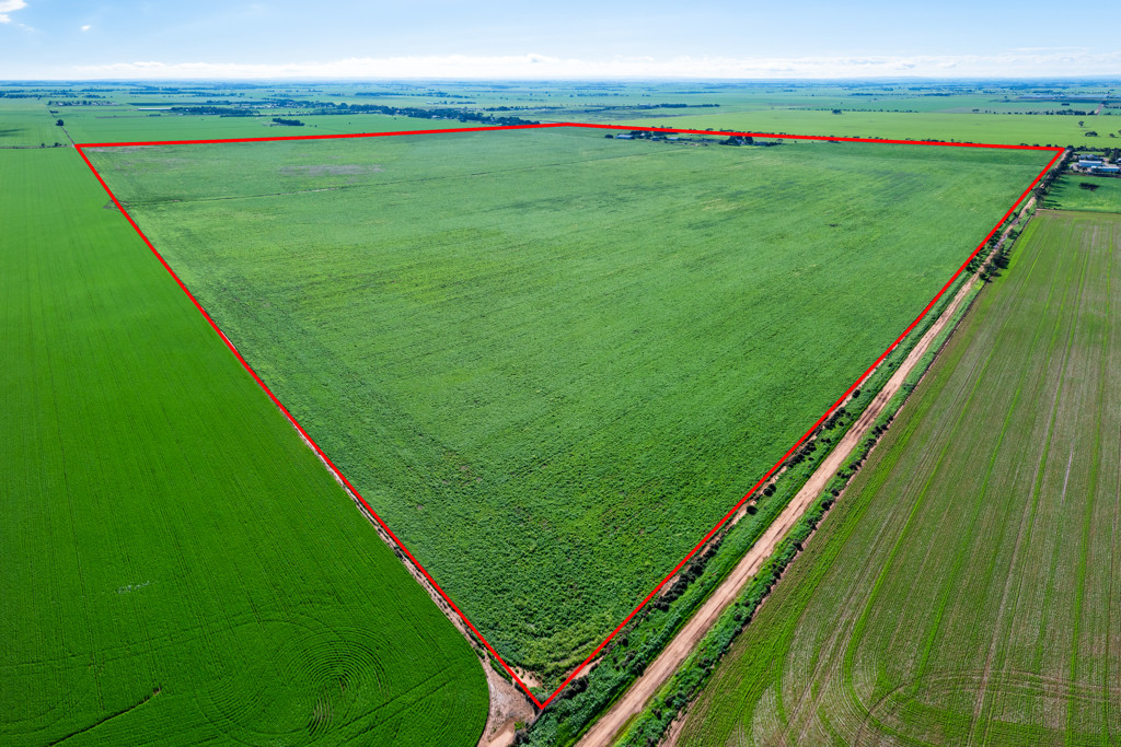1330 Mallala Road, Korunye SA 5502