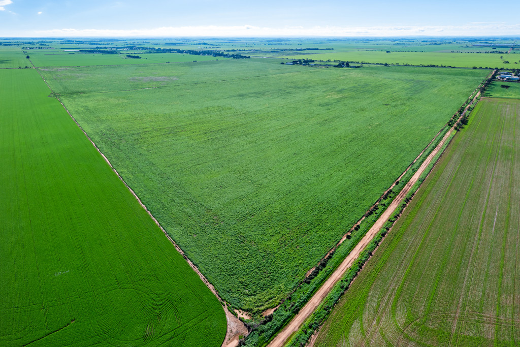 1330 Mallala Road, Korunye SA 5502