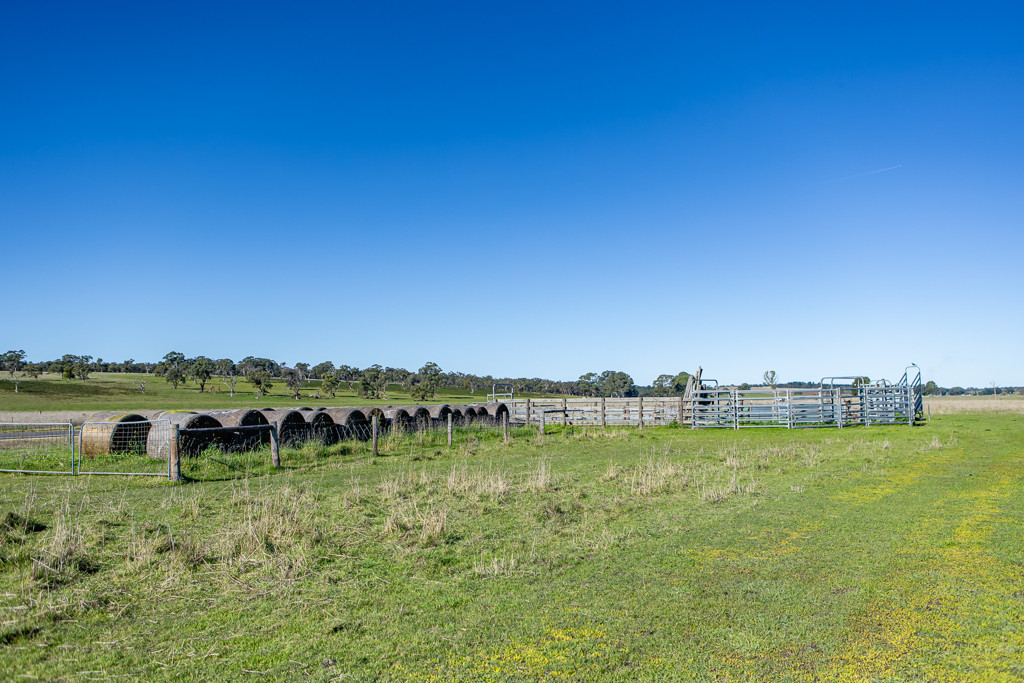 Lot 3 and 4 Old Caves Road, Naracoorte SA 5271