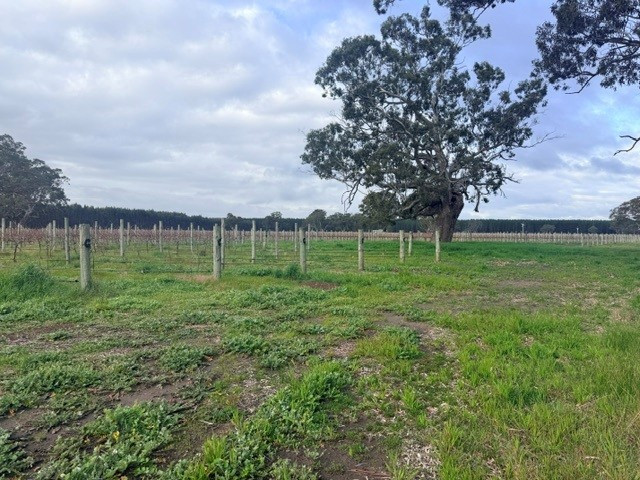 Lot 101 719 Casterton Road, Penola SA 5277