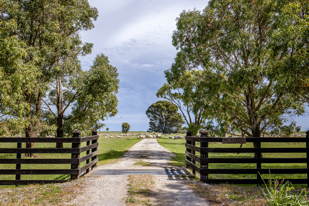220 Bournes Road, Bool Lagoon SA 5271