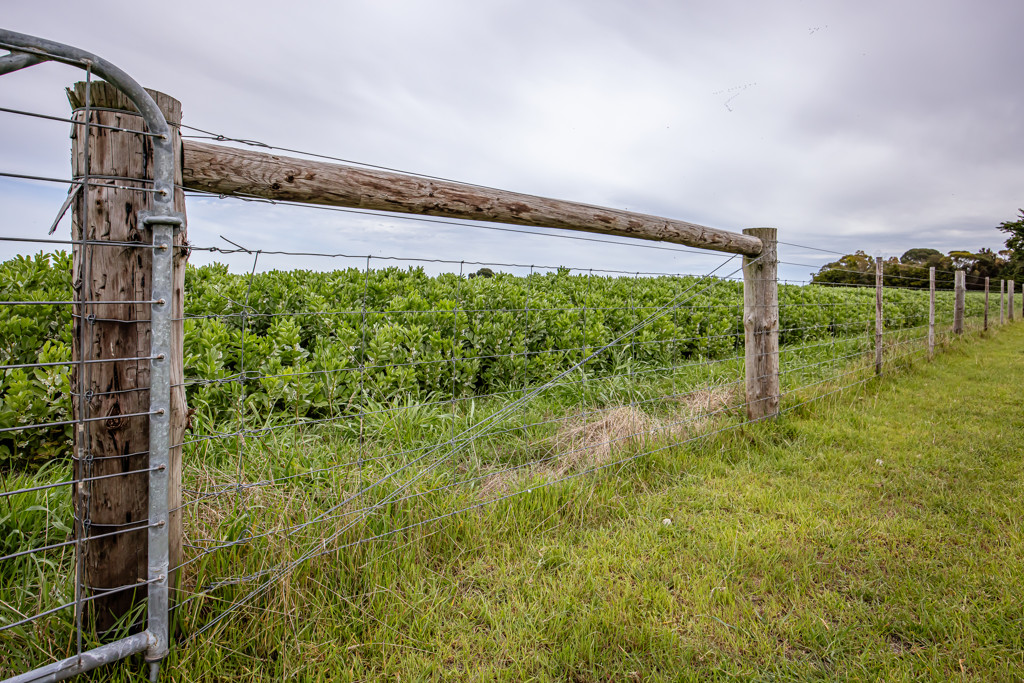 220 Bournes Road, Bool Lagoon SA 5271
