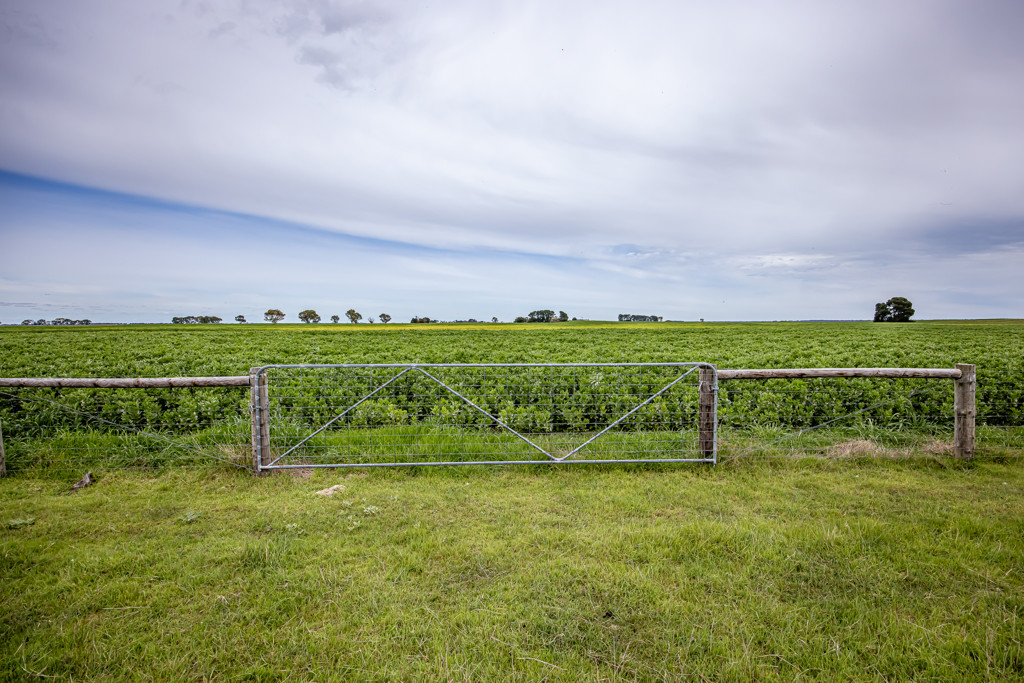 220 Bournes Road, Bool Lagoon SA 5271