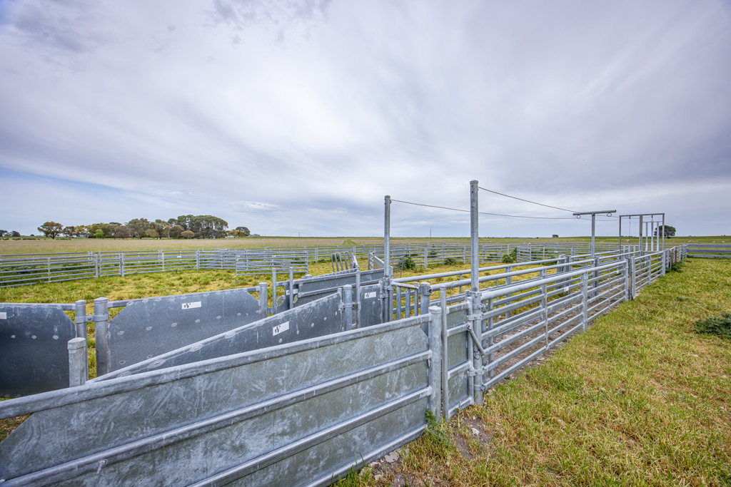 220 Bournes Road, Bool Lagoon SA 5271
