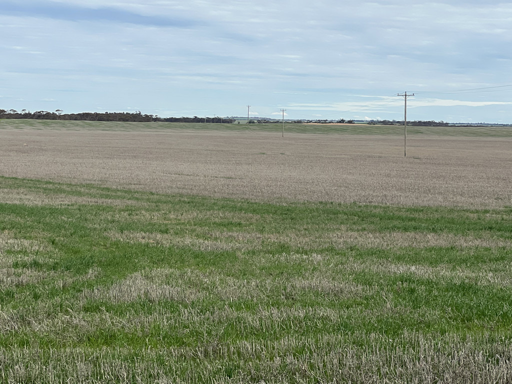 Allotment 1 and 2 Murrayville North Road, Murrayville VIC 3512