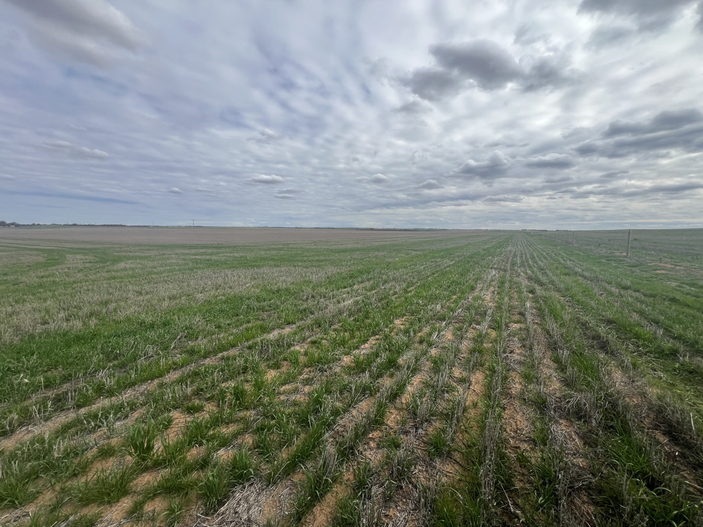Allotment 1 and 2 Murrayville North Road, Murrayville VIC 3512