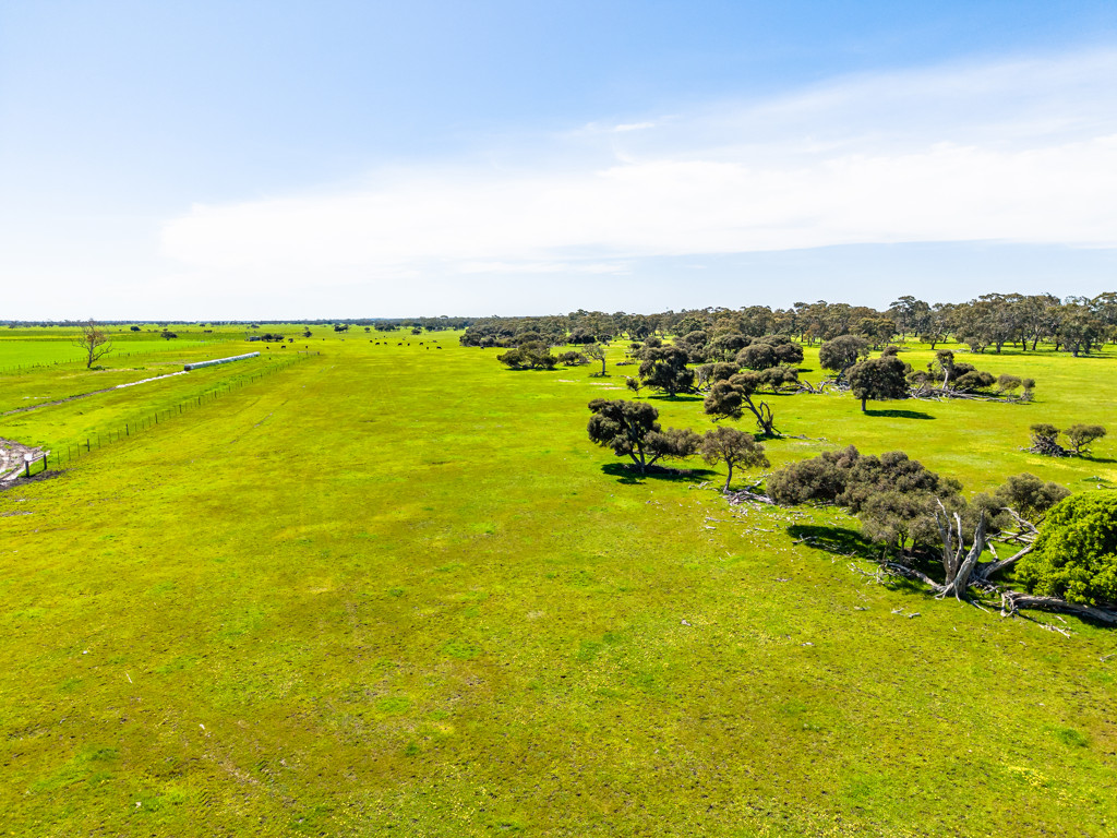 641 Minnie Crowe Road, Avenue Range SA 5273
