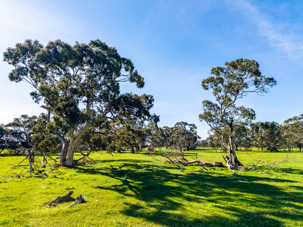 641 Minnie Crowe Road, Avenue Range SA 5273
