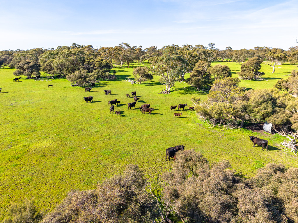 641 Minnie Crowe Road, Avenue Range SA 5273