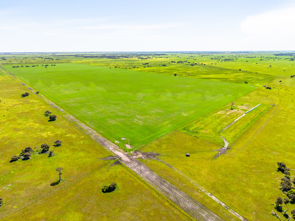 641 Minnie Crowe Road, Avenue Range SA 5273