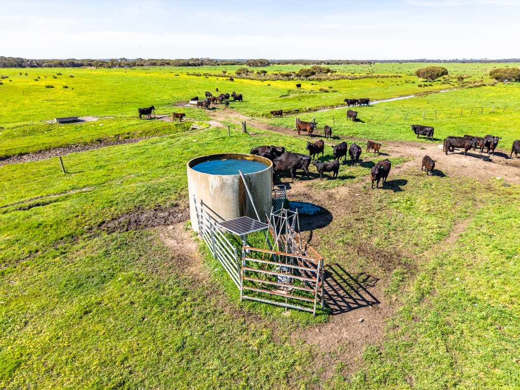 641 Minnie Crowe Road, Avenue Range SA 5273