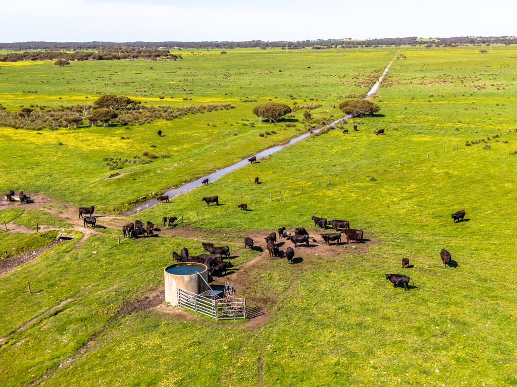 641 Minnie Crowe Road, Avenue Range SA 5273