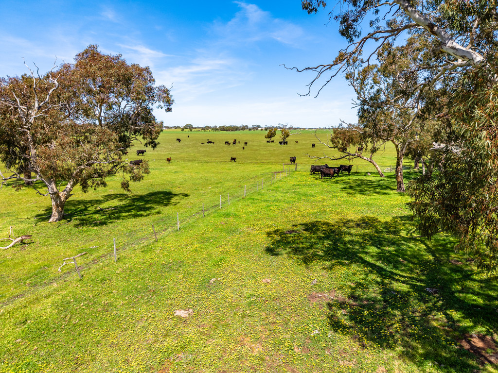 641 Minnie Crowe Road, Avenue Range SA 5273