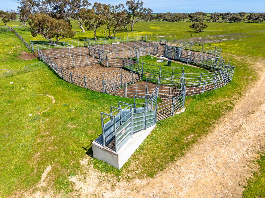 641 Minnie Crowe Road, Avenue Range SA 5273