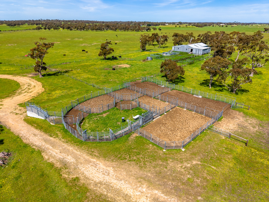 641 Minnie Crowe Road, Avenue Range SA 5273