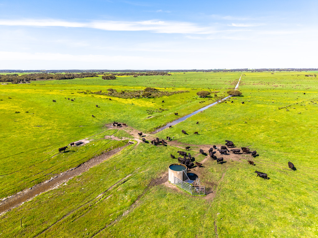 641 Minnie Crowe Road, Avenue Range SA 5273