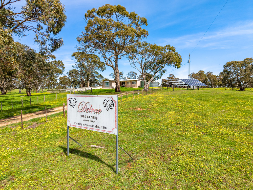 641 Minnie Crowe Road, Avenue Range SA 5273