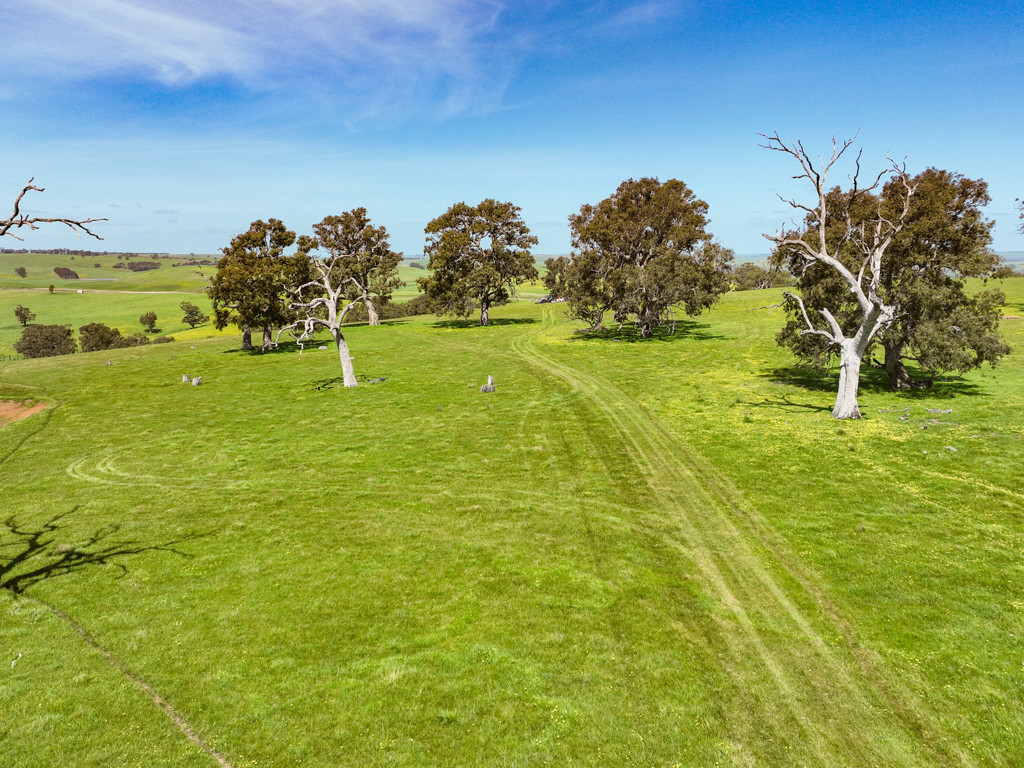 Lot 12 Noss Retreat Road, Casterton VIC 3311