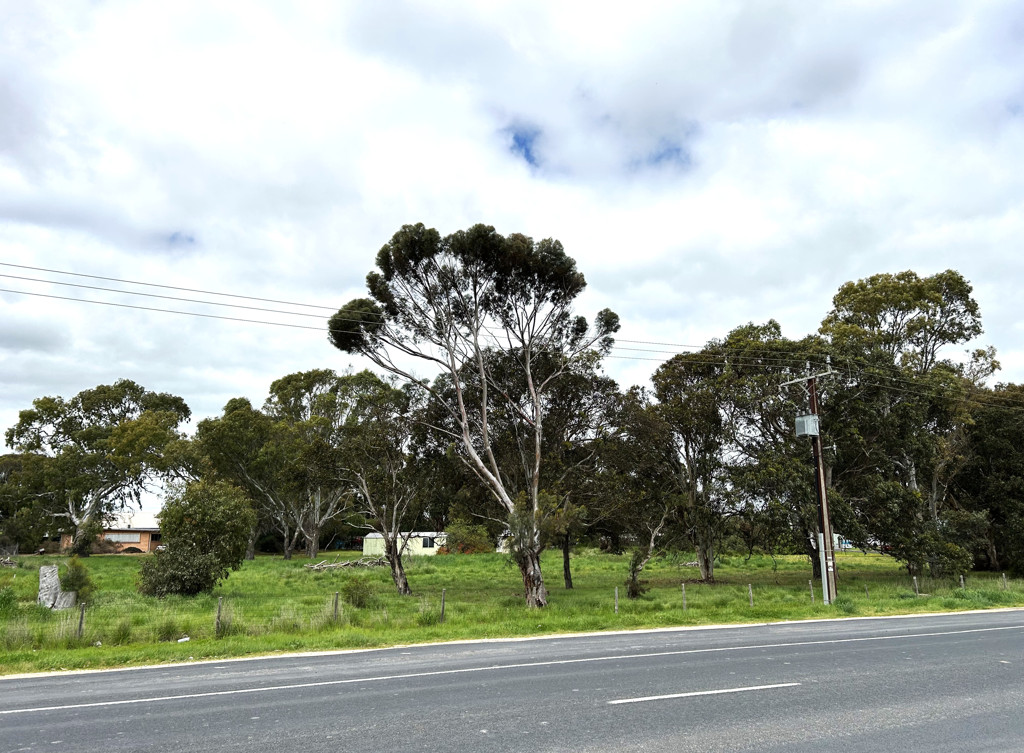 Lot 14 Deviation Road, Naracoorte SA 5271
